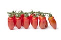 Baby San MarzanoÃ¢â¬â¢s tomatoes on a vine Royalty Free Stock Photo